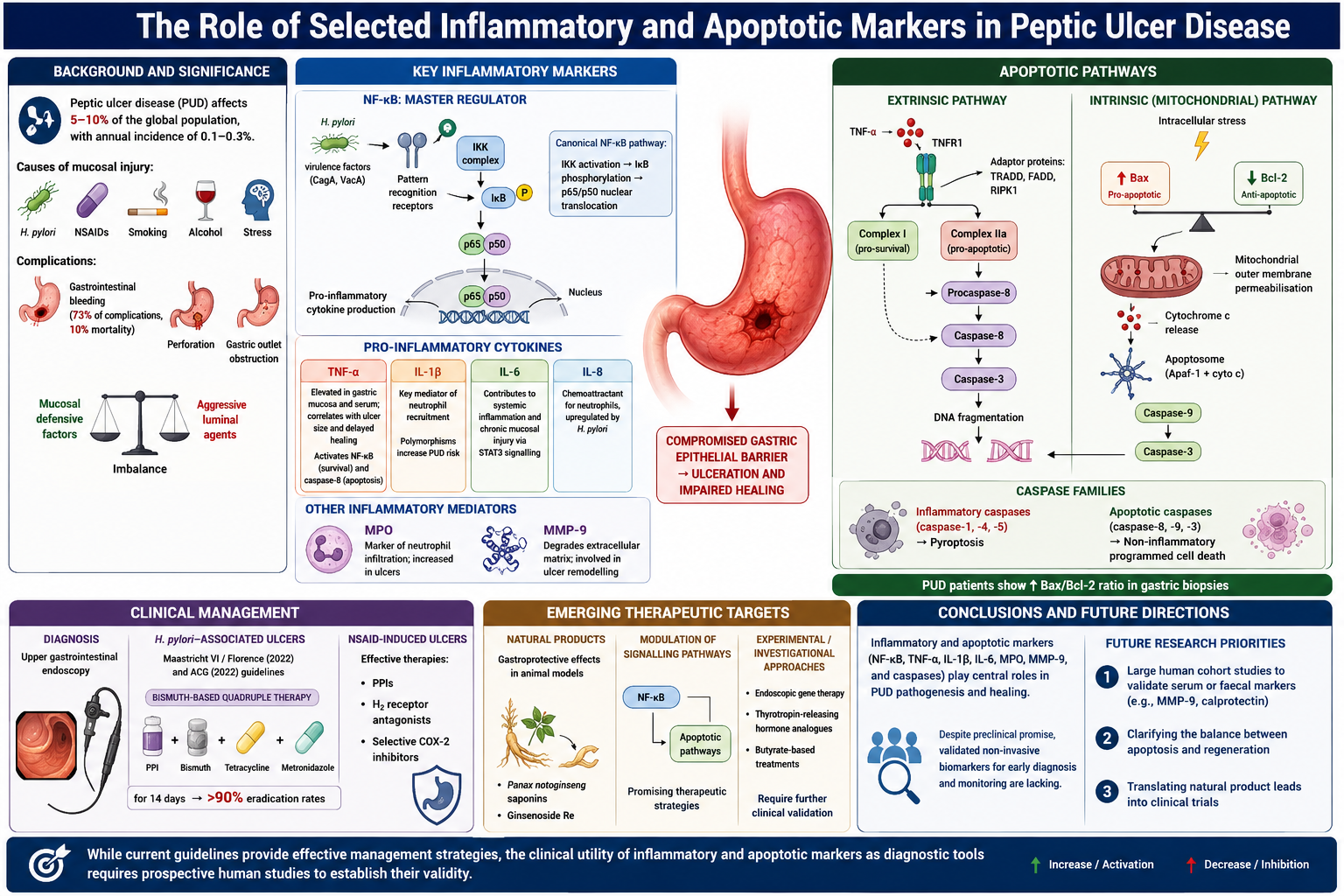 Graphical Abstract
